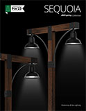 SEQUOIA COVER copy