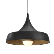 RPL24 - 